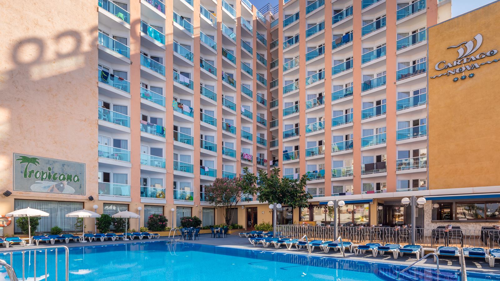 ALEGRIA CARTAGO NOVA