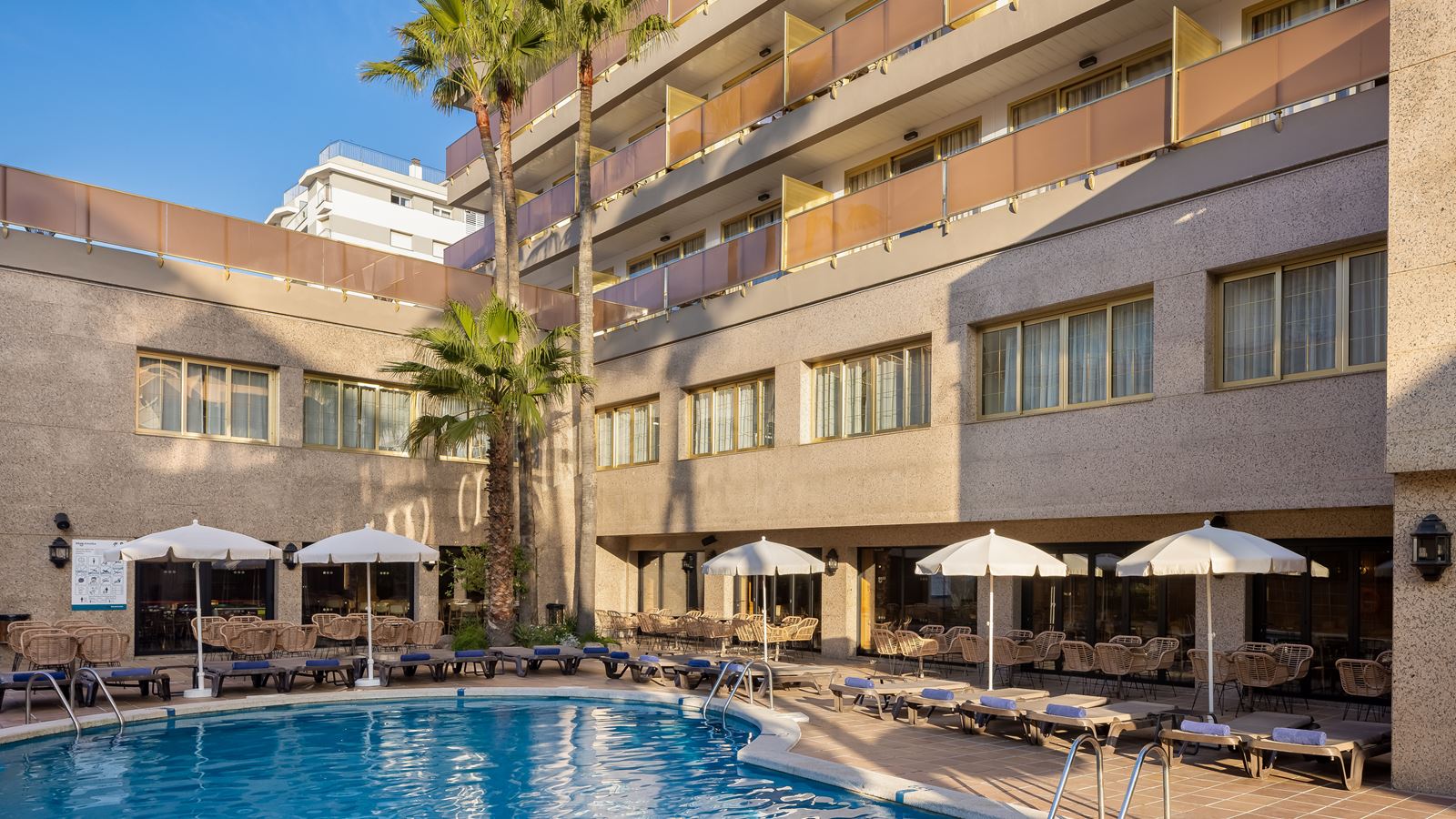 H.TOP AMAIKA (ADULTS ONLY 16+)