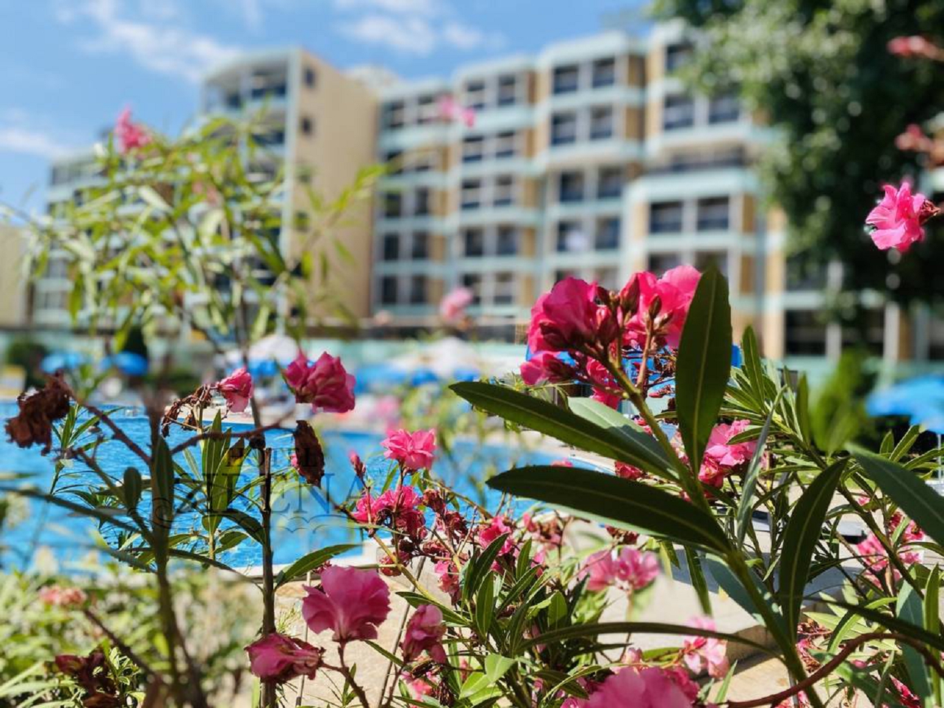 SIRENA (SUNNY BEACH)