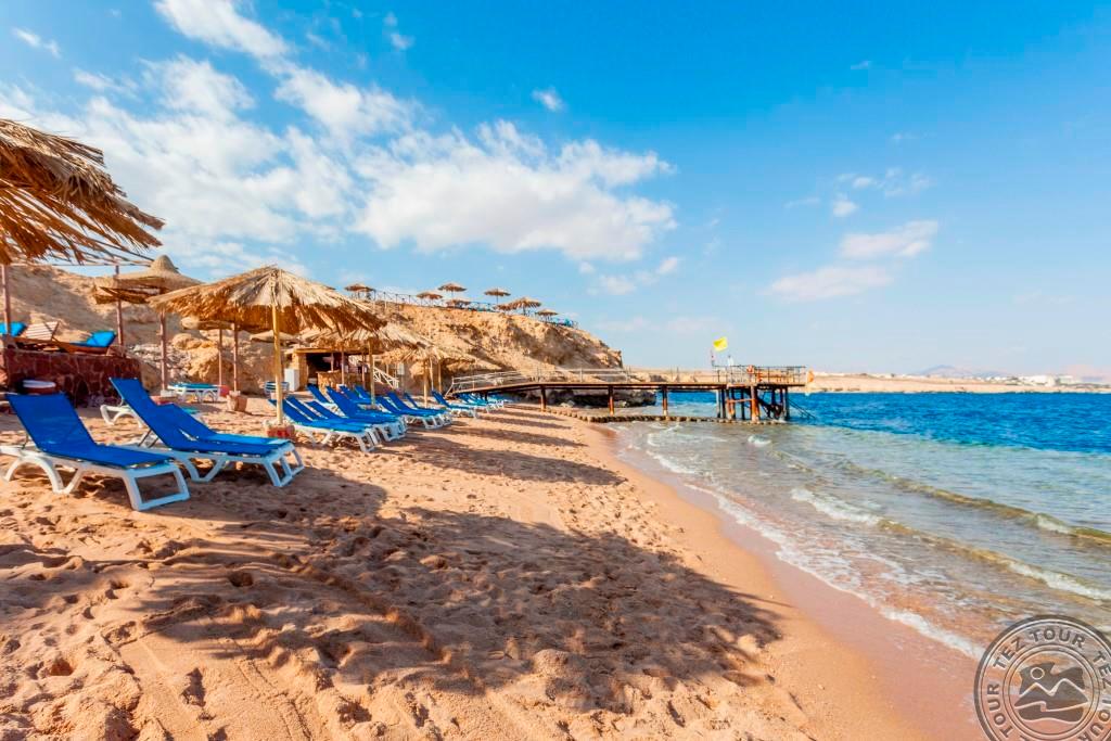 Club Reef – foto 8