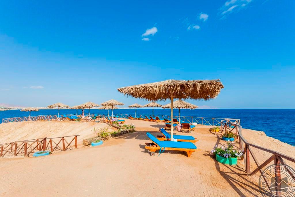 Club Reef – foto 7
