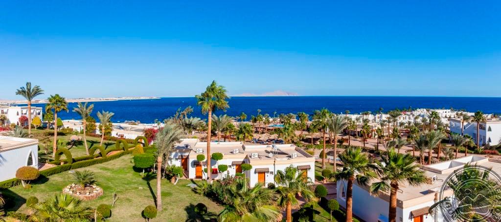 Club Reef – foto 2